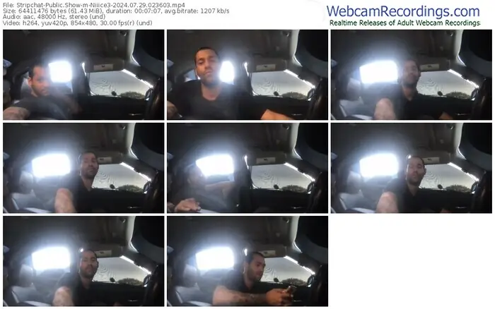 stripchat-niiice3-07-29-2024-02-36-03