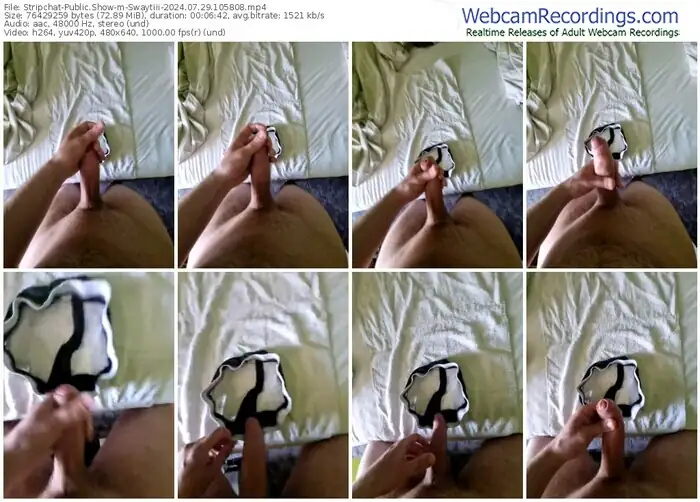 stripchat-swaytiii-07-29-2024-10-58-08