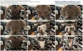 stripchat-nihs1-07-29-2024-13-02-46