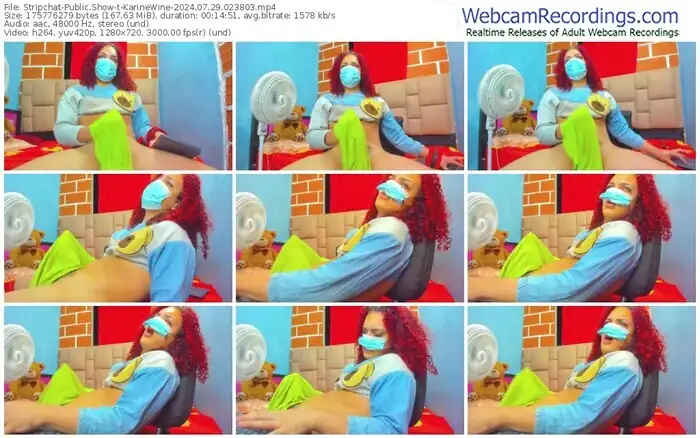 stripchat-karinewine-07-29-2024-02-38-03
