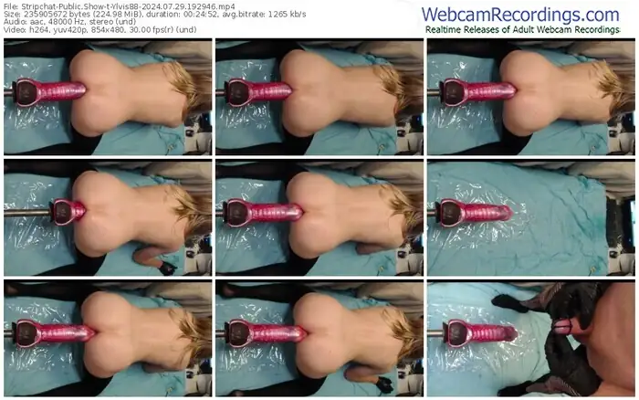 stripchat-ylvis88-07-29-2024-19-29-46