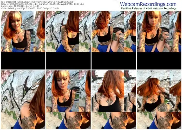 stripchat-sallydinosaur-07-30-2024-18-50-33