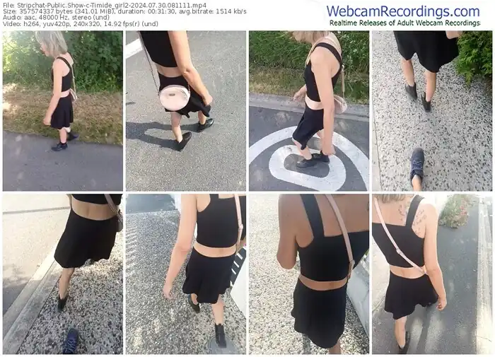 stripchat-timide_girl2-07-30-2024-08-11-11