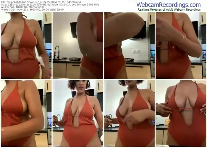 stripchat-in_mi0425-07-30-2024-16-49-08