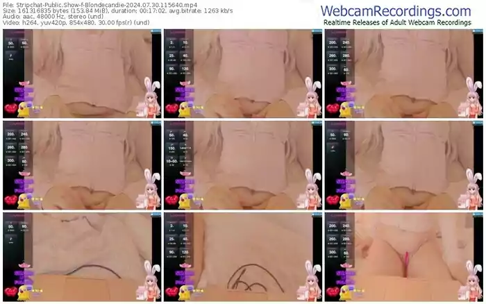 stripchat-blondecandie-07-30-2024-11-56-40