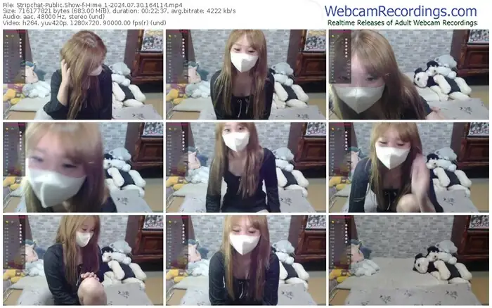 stripchat-hime_1-07-30-2024-16-41-14