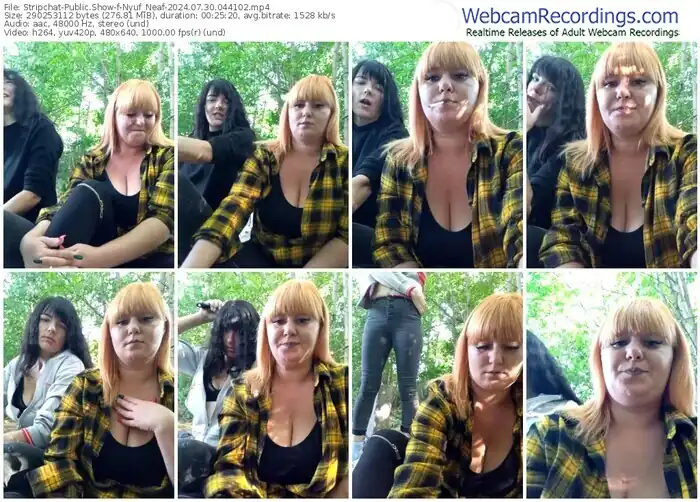 stripchat-nyuf_neaf-07-30-2024-04-41-02