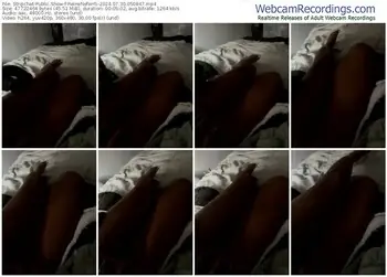 stripchat-reineneferrti-07-30-2024-05-08-47