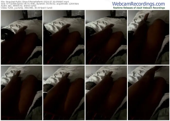 stripchat-reineneferrti-07-30-2024-05-08-47