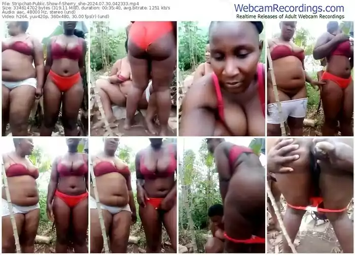 stripchat-sherry_she-07-30-2024-04-23-33