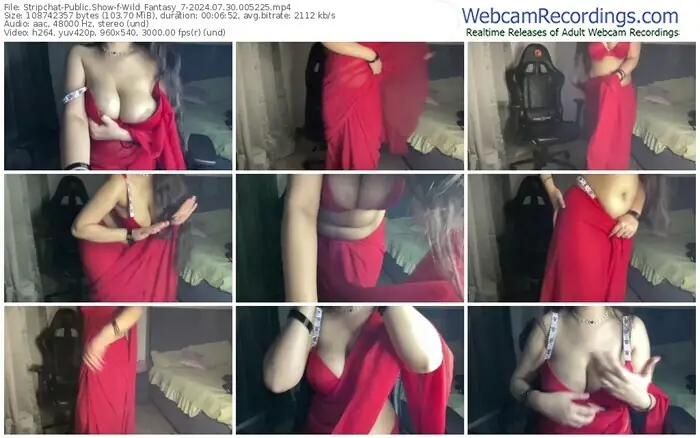 stripchat-wild_fantasy_7-07-30-2024-00-52-25