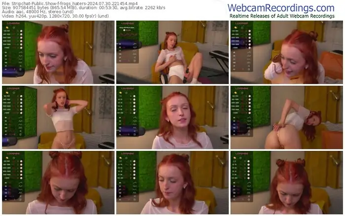 stripchat-frogs_haters-07-30-2024-22-14-54