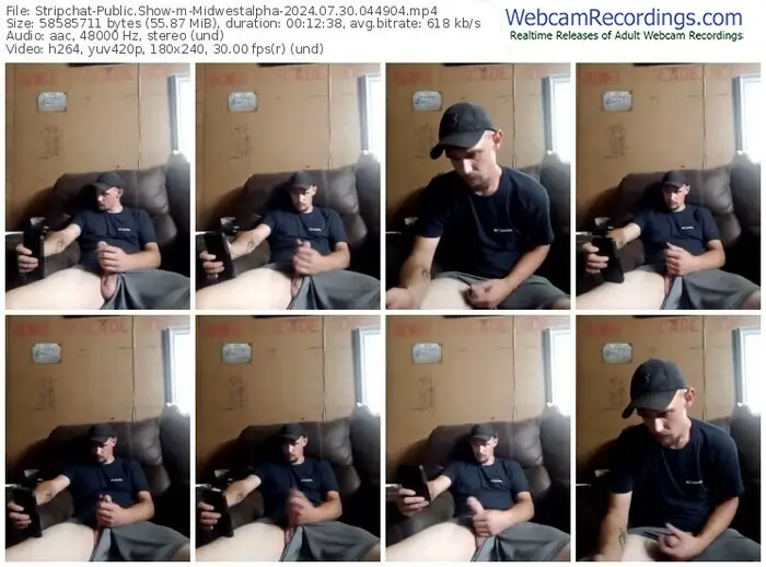 stripchat-midwestalpha-07-30-2024-04-49-04