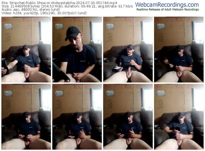 stripchat-midwestalpha-07-30-2024-05-17-46