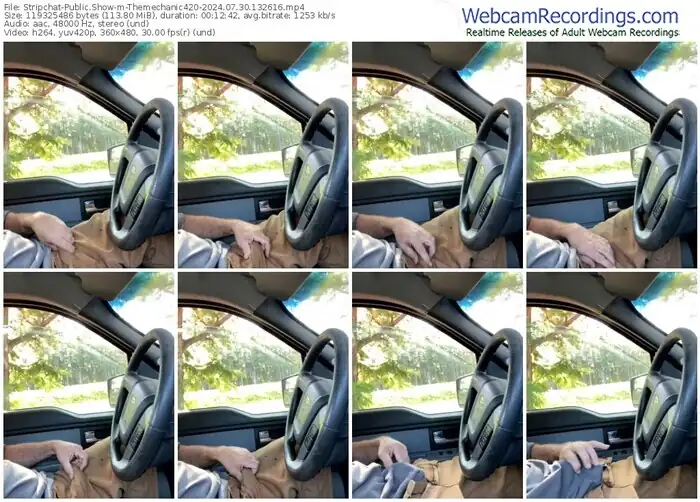 stripchat-themechanic420-07-30-2024-13-26-16