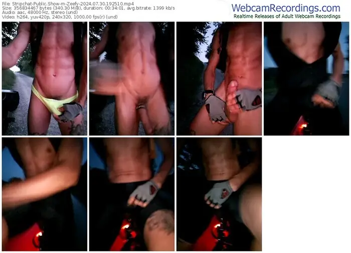 stripchat-zeefy-07-30-2024-19-25-10