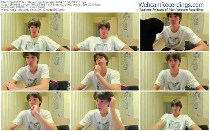 stripchat-gaygamogey-07-30-2024-19-13-50