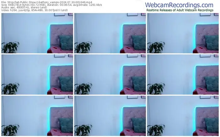 stripchat-bathory_vamps-07-30-2024-00-16-46