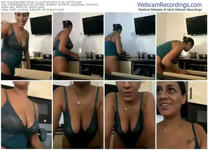 stripchat-in_mi0425-07-31-2024-20-57-01