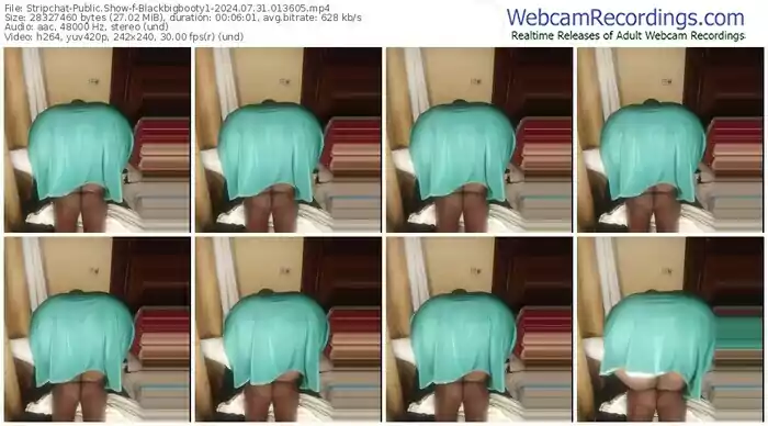 stripchat-blackbigbooty1-07-31-2024-01-36-05
