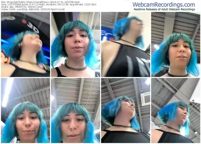 stripchat-gerallfoxxx-07-31-2024-22-52-38