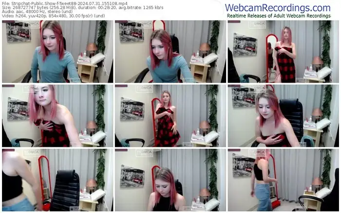 stripchat-tweet88-07-31-2024-15-51-08