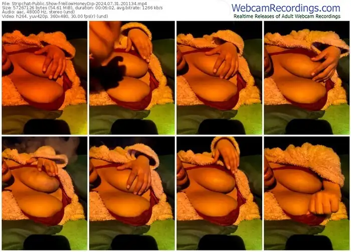 stripchat-yellowhoneydip-07-31-2024-20-11-34