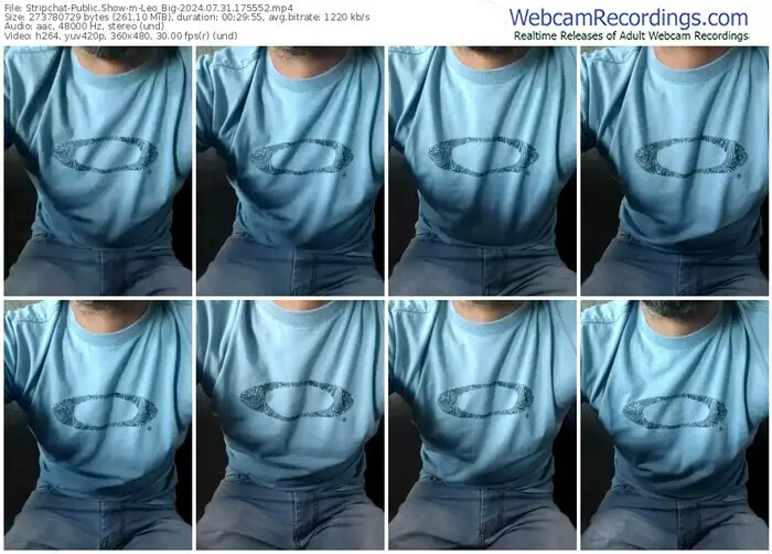 stripchat-leo_big-07-31-2024-17-55-52