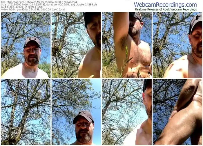 stripchat-mr_beef-07-31-2024-10-09-41
