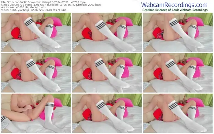 stripchat-maleboy25-07-31-2024-14-07-08