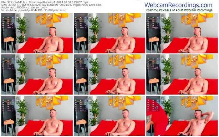 stripchat-petterwilly1-07-31-2024-18-56-57