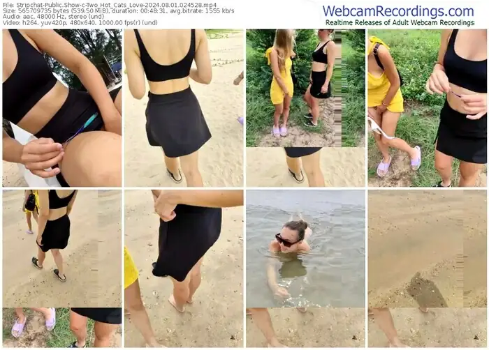stripchat-two_hot_cats_love-08-01-2024-02-45-28