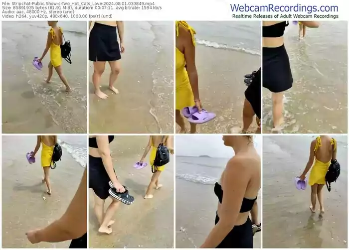 stripchat-two_hot_cats_love-08-01-2024-03-38-49