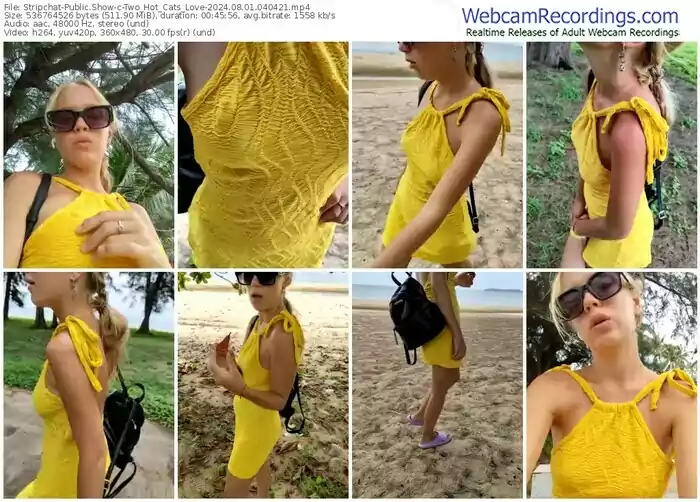 stripchat-two_hot_cats_love-08-01-2024-04-04-21