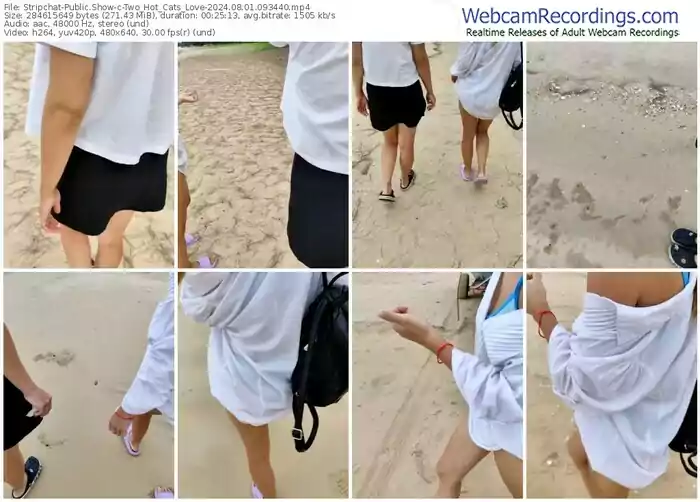 stripchat-two_hot_cats_love-08-01-2024-09-34-40