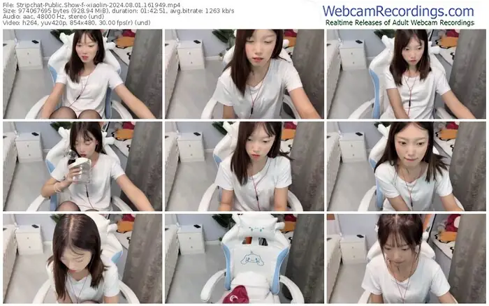 stripchat--xiaolin-08-01-2024-16-19-49