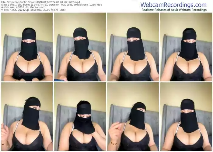 stripchat-dina012-08-01-2024-04-16-32