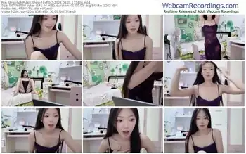 stripchat-ech0-7-08-01-2024-13-34-06