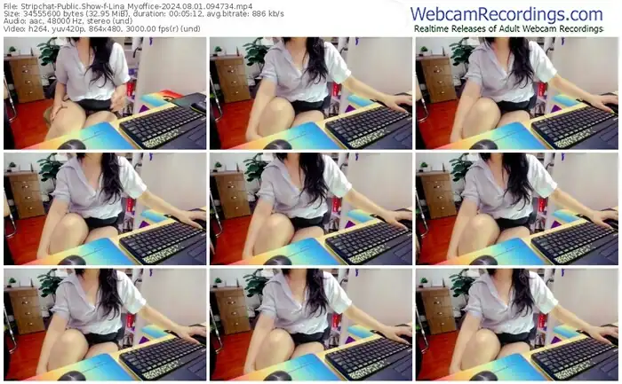 stripchat-lina_myoffice-08-01-2024-09-47-34