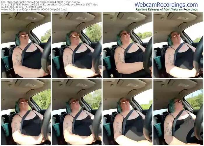 stripchat-potofgreer-08-01-2024-19-57-15