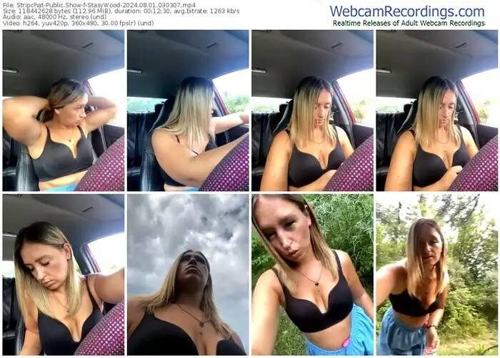 stripchat-stasywood-08-01-2024-03-03-07