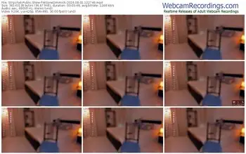 stripchat-wilonedimmick-08-01-2024-12-27-46