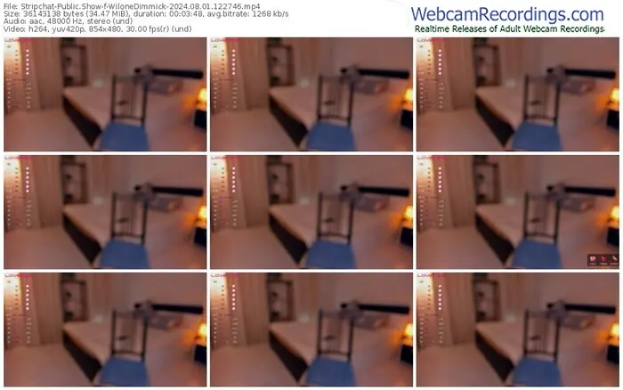 stripchat-wilonedimmick-08-01-2024-12-27-46