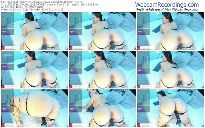 stripchat-angiee_roses-08-01-2024-01-05-19