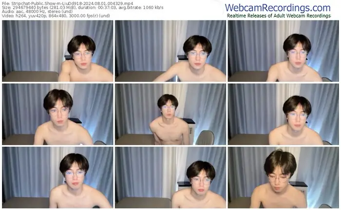 stripchat-liudd918-08-01-2024-00-43-29