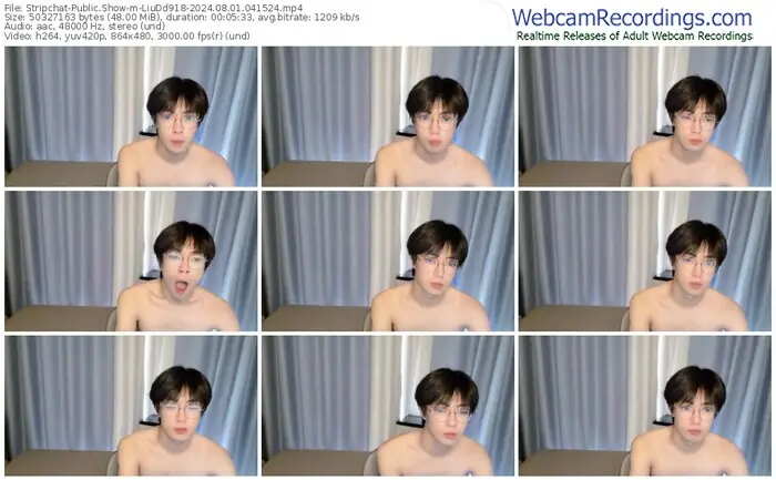 stripchat-liudd918-08-01-2024-04-15-24