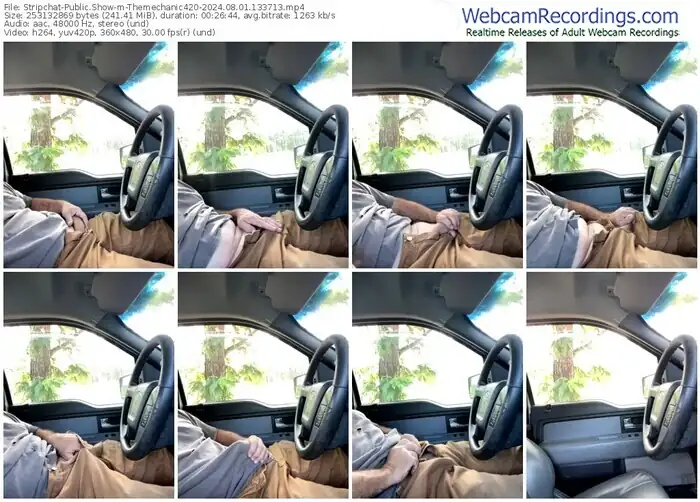 stripchat-themechanic420-08-01-2024-13-37-13