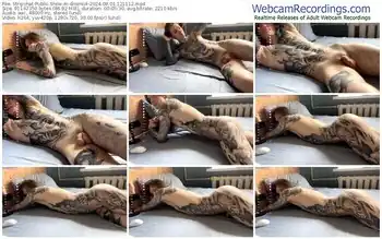 stripchat-dnonilol-08-01-2024-12-11-12