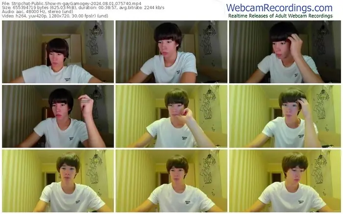 stripchat-gaygamogey-08-01-2024-07-57-40