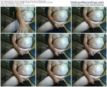 stripchat-happyroamer-08-01-2024-04-59-47